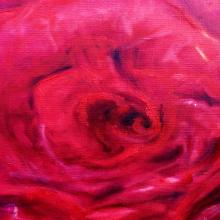 Univers-of-Rose-fr-3